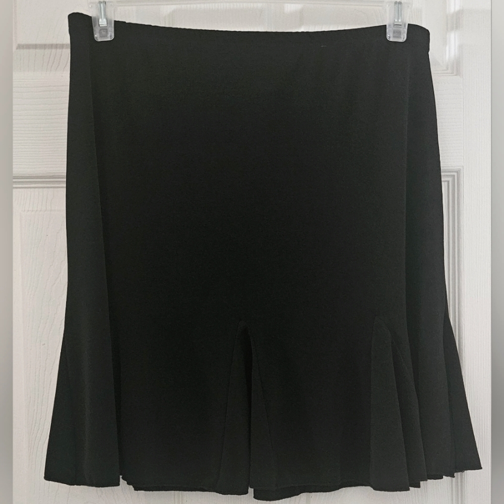 Briggs New York Flared Skirt